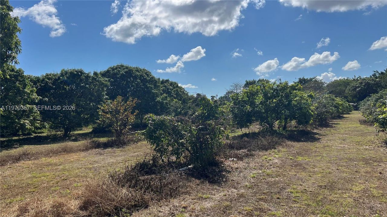 Sw , Miami, FL 33187 Photo