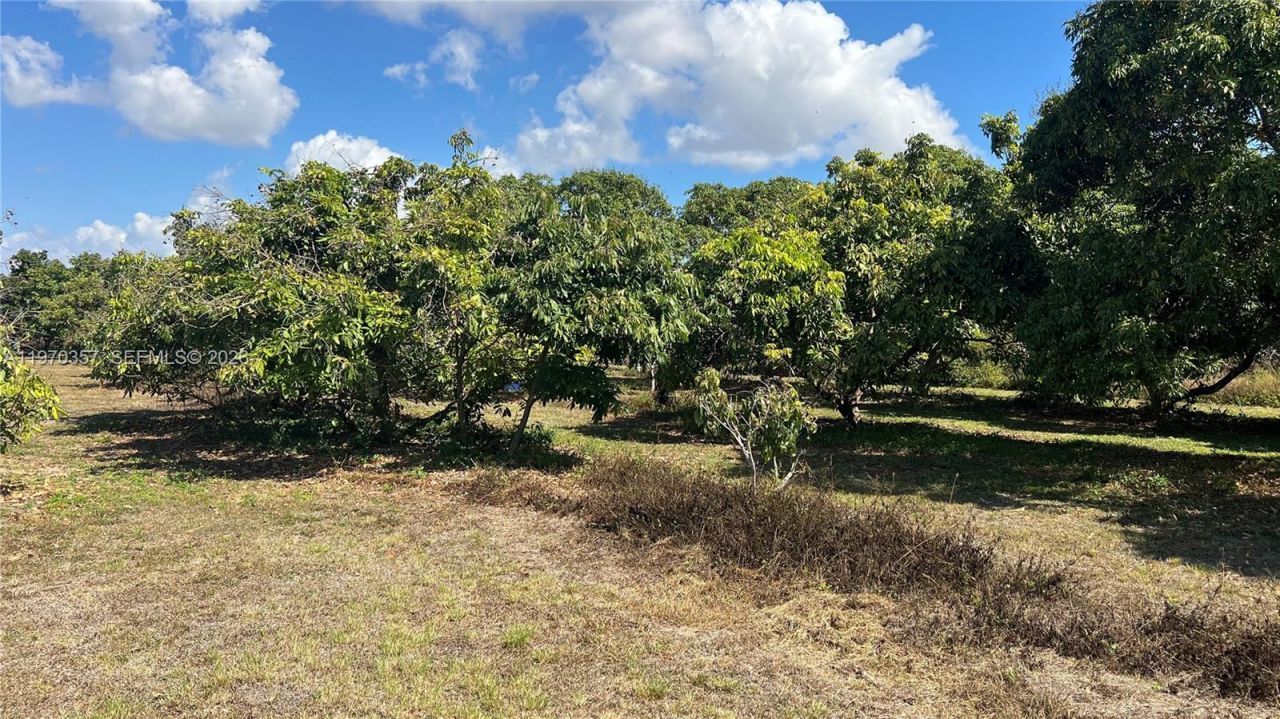 Sw , Miami, FL 33187 Photo