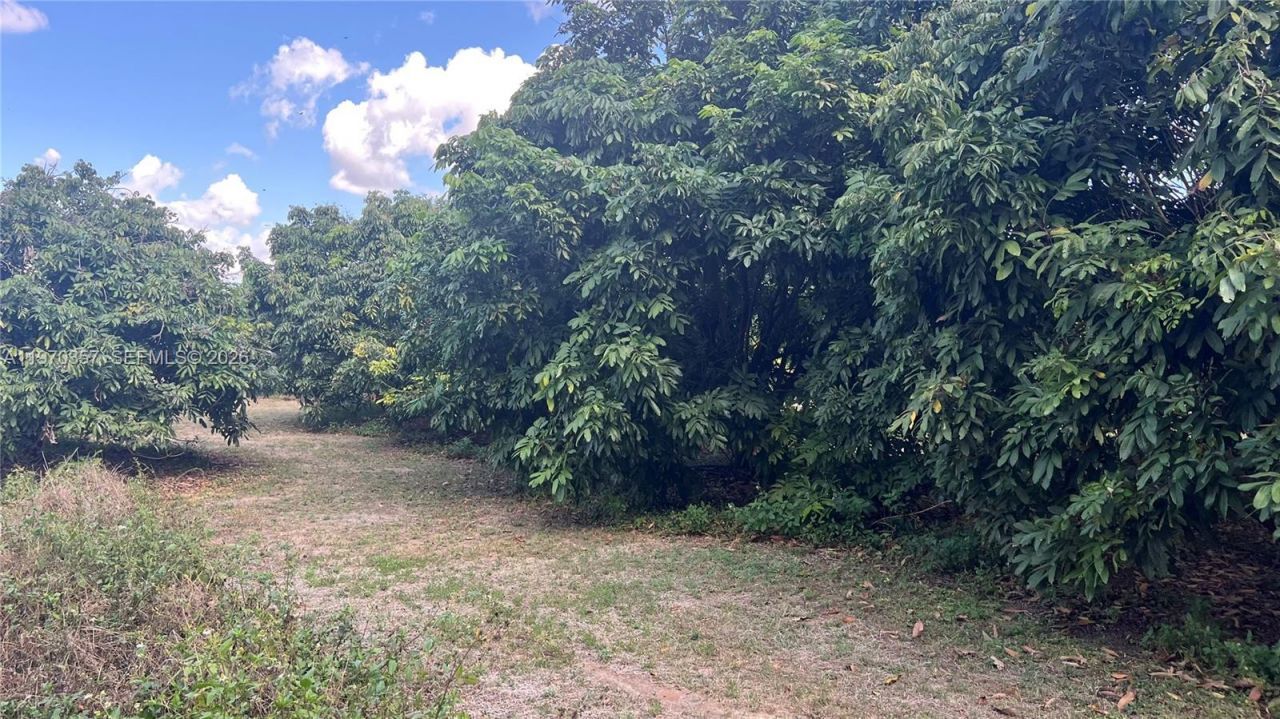 Sw , Miami, FL 33187 Photo