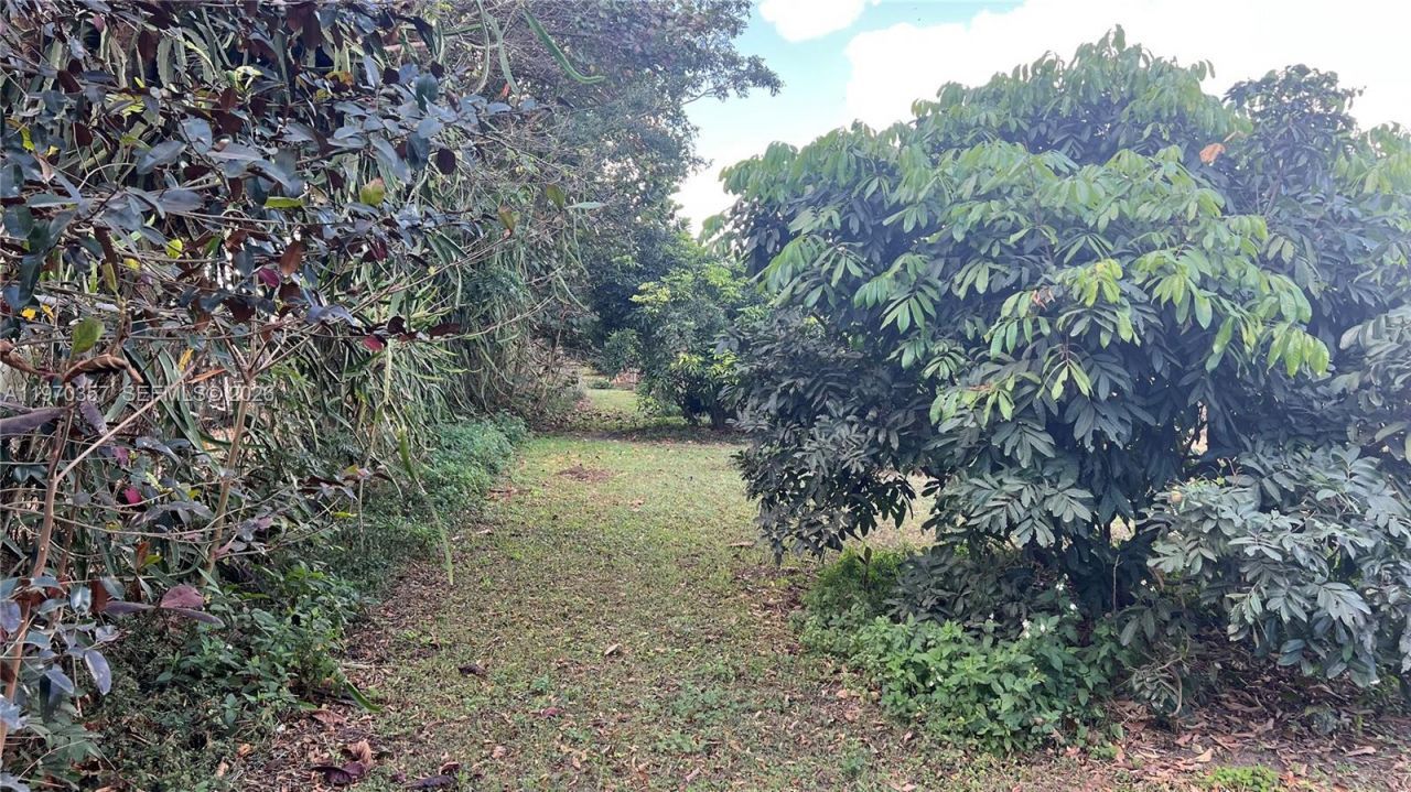 Sw , Miami, FL 33187 Photo