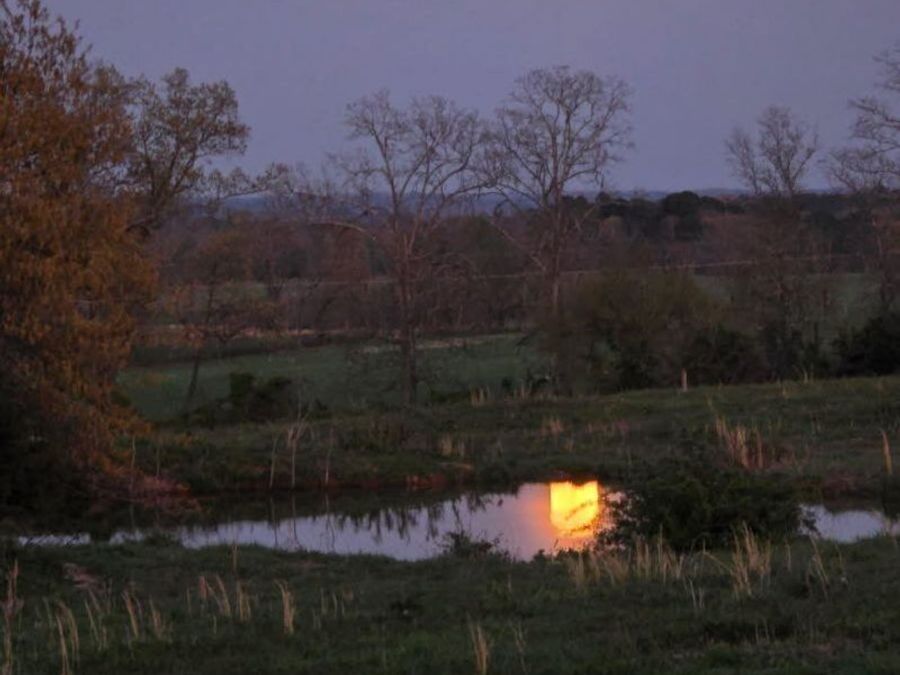 Property Image 51