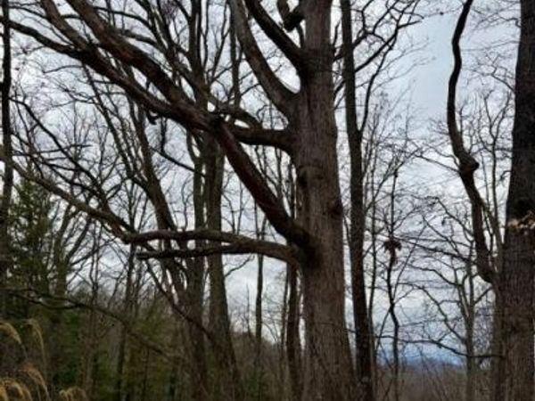 201 Glen Valley Drive , Weaverville, NC 28787