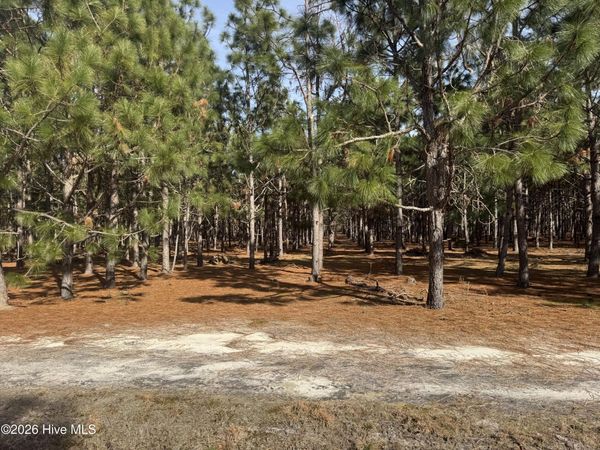 0 Butler Mill Road, Bladenboro, NC 28320