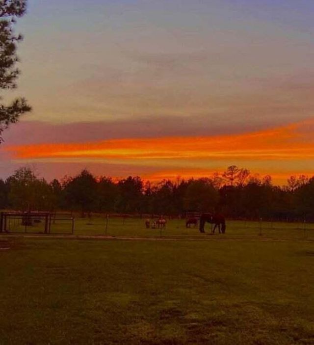 185 Gabby Hall Court Photo 33