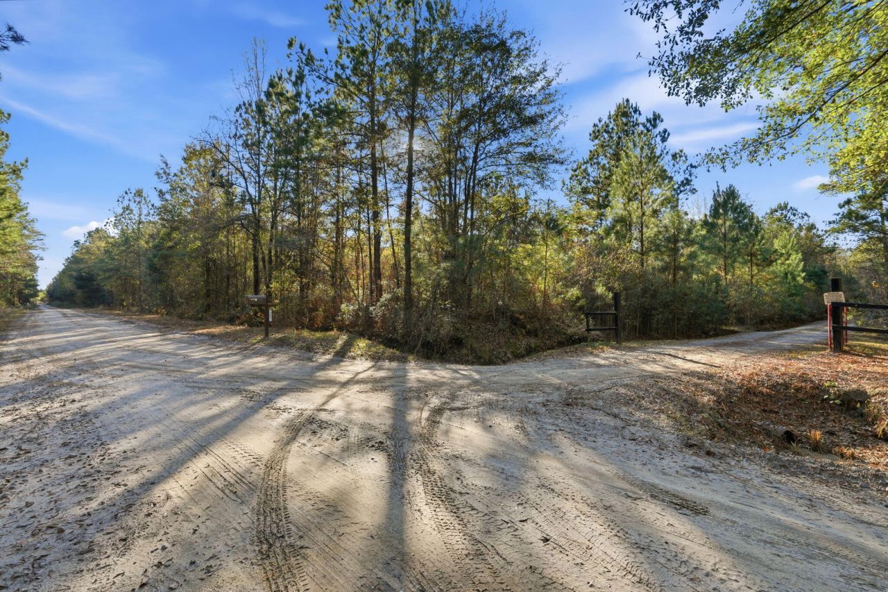 185 Gabby Hall Court Photo 34