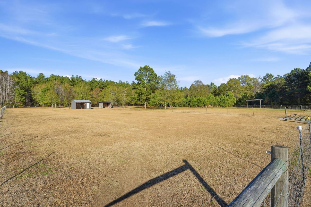 185 Gabby Hall Court Photo 6