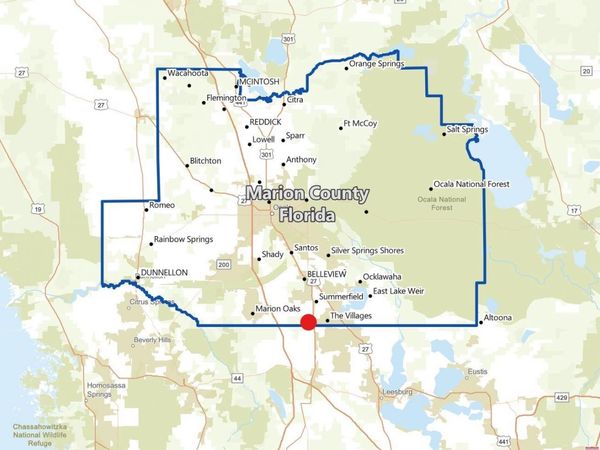 17690 S US HIGHWAY 301, SUMMERFIELD, FL 34491