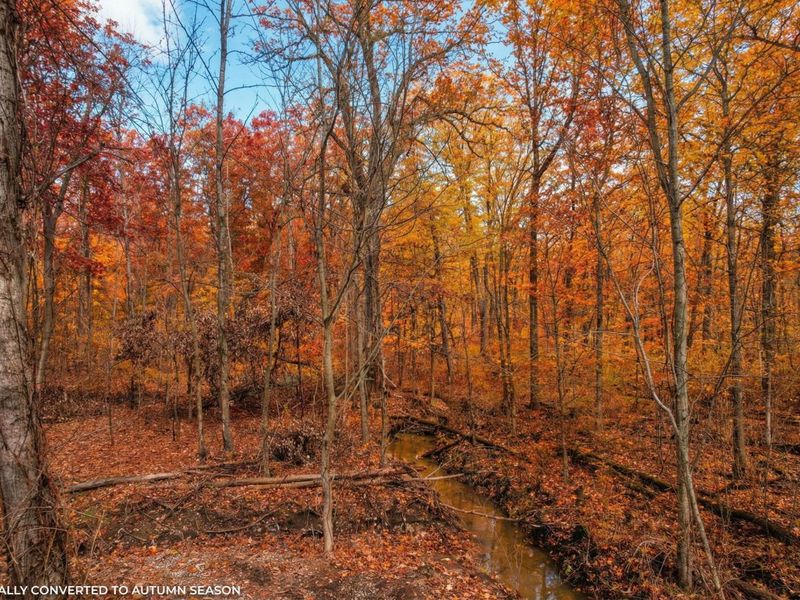 156 Arbor Lane SW, Pataskala, OH 43062 Photo 10