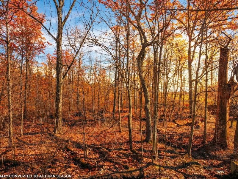 156 Arbor Lane SW, Pataskala, OH 43062 Photo 12