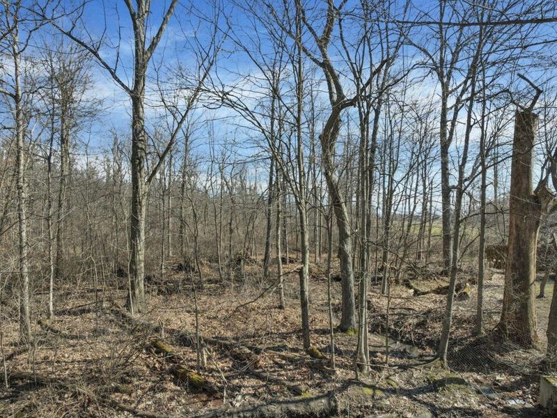 156 Arbor Lane SW, Pataskala, OH 43062 Photo 13