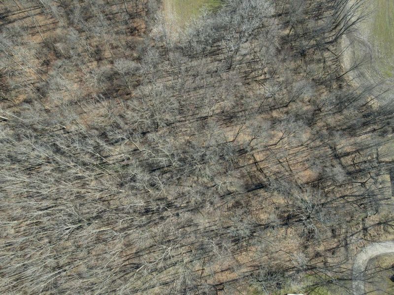 156 Arbor Lane SW, Pataskala, OH 43062 Photo 18