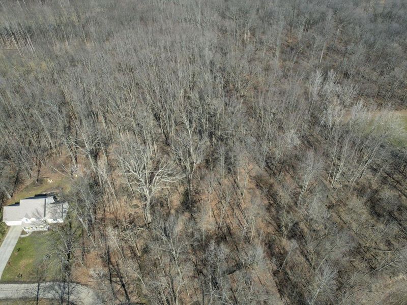 156 Arbor Lane SW, Pataskala, OH 43062 Photo 3