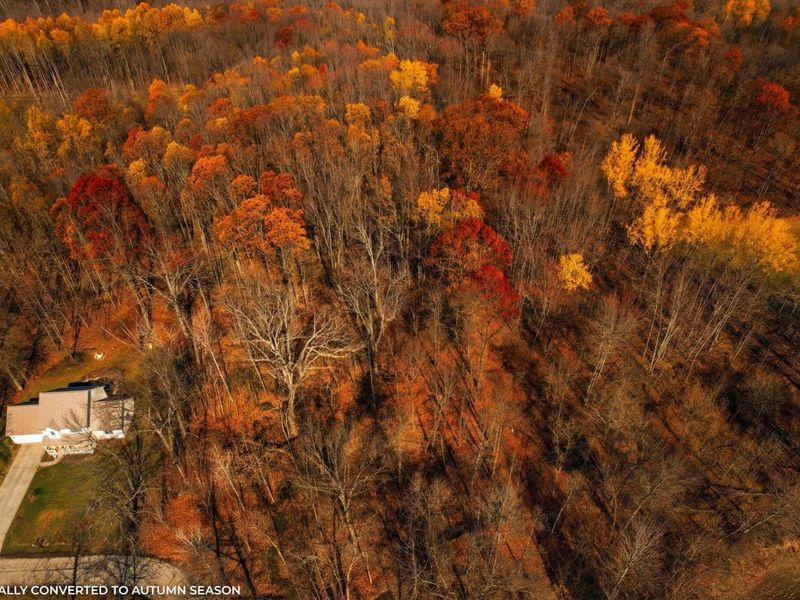 156 Arbor Lane SW, Pataskala, OH 43062 Photo 4