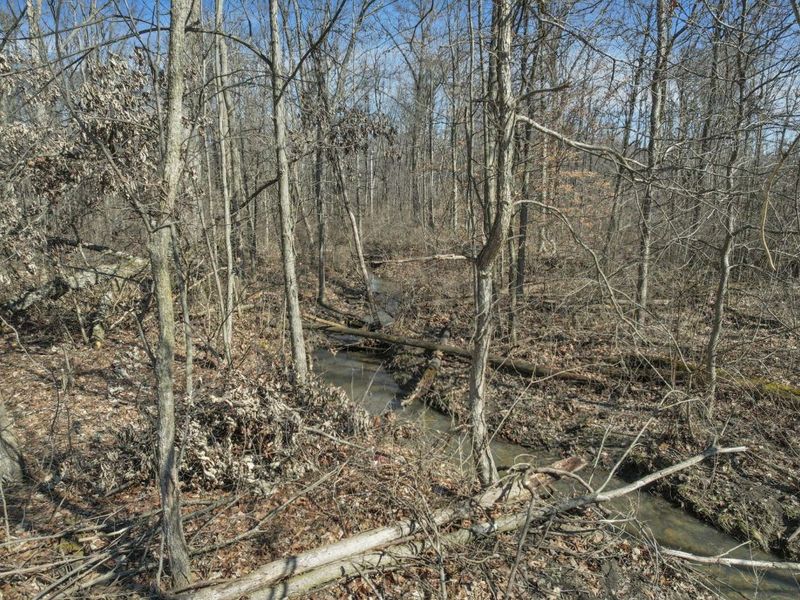 156 Arbor Lane SW, Pataskala, OH 43062 Photo 5