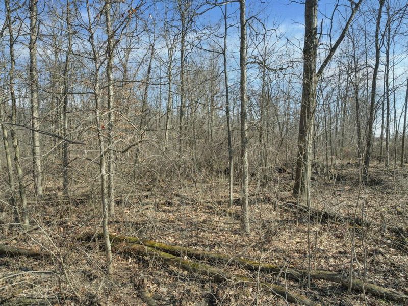 156 Arbor Lane SW, Pataskala, OH 43062 Photo 6