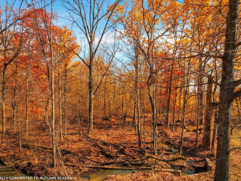 156 Arbor Lane SW, Pataskala, OH 43062 Photo 8