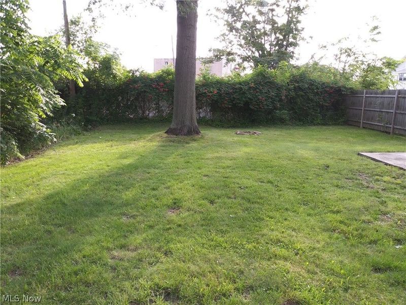 3916 Howard Street, Youngstown, OH 44512 Photo 6