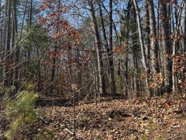 KENNEDY STREET, WOODFORD, VA 22580