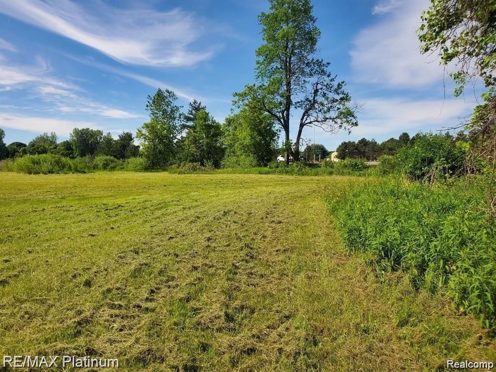 Ludwig, Oxford Township, MI 48371 Main Photo