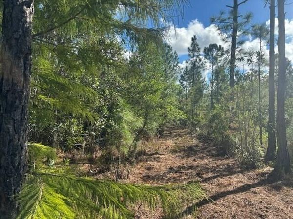 0 Old Grade Road, Polk City, FL 33868