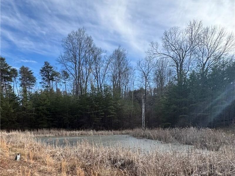 28240 Osborne Road, Coolville, OH 45723 Photo 24