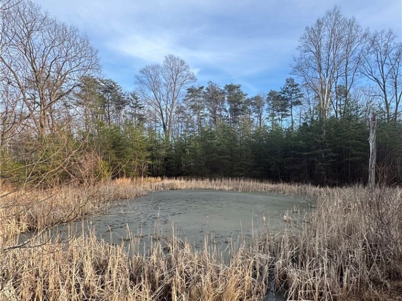 28240 Osborne Road, Coolville, OH 45723 Photo 25