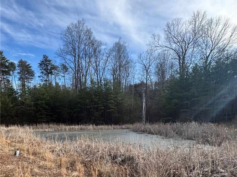 28240 Osborne Road, Coolville, OH 45723 Photo 27