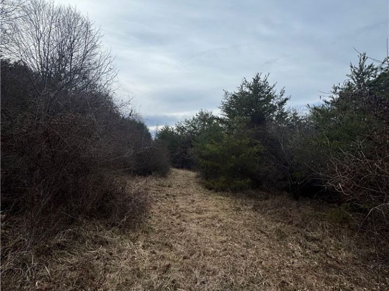 28240 Osborne Road, Coolville, OH 45723 Photo 28