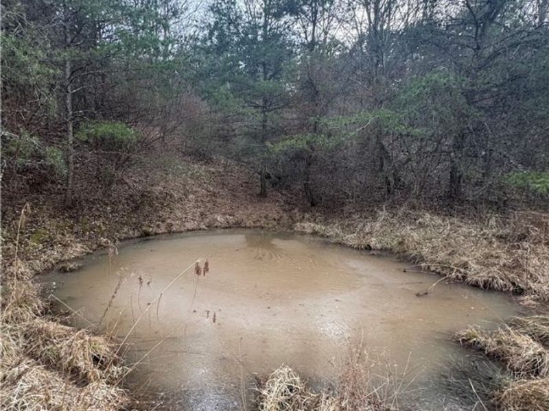 28240 Osborne Road, Coolville, OH 45723 Photo 31