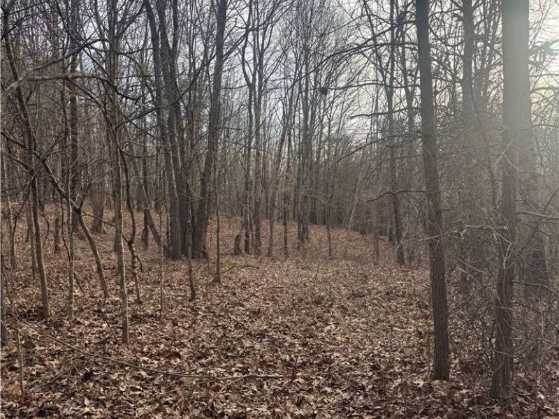 28240 Osborne Road, Coolville, OH 45723 Photo 32