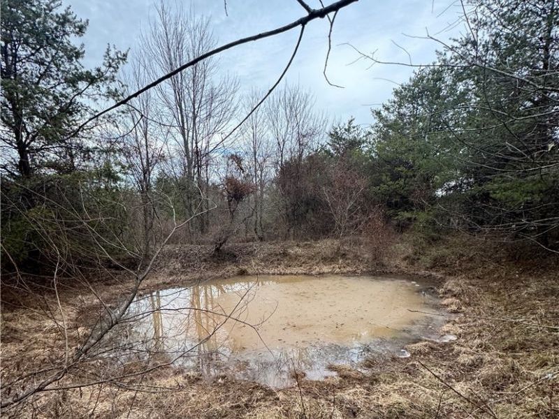 28240 Osborne Road, Coolville, OH 45723 Photo 34