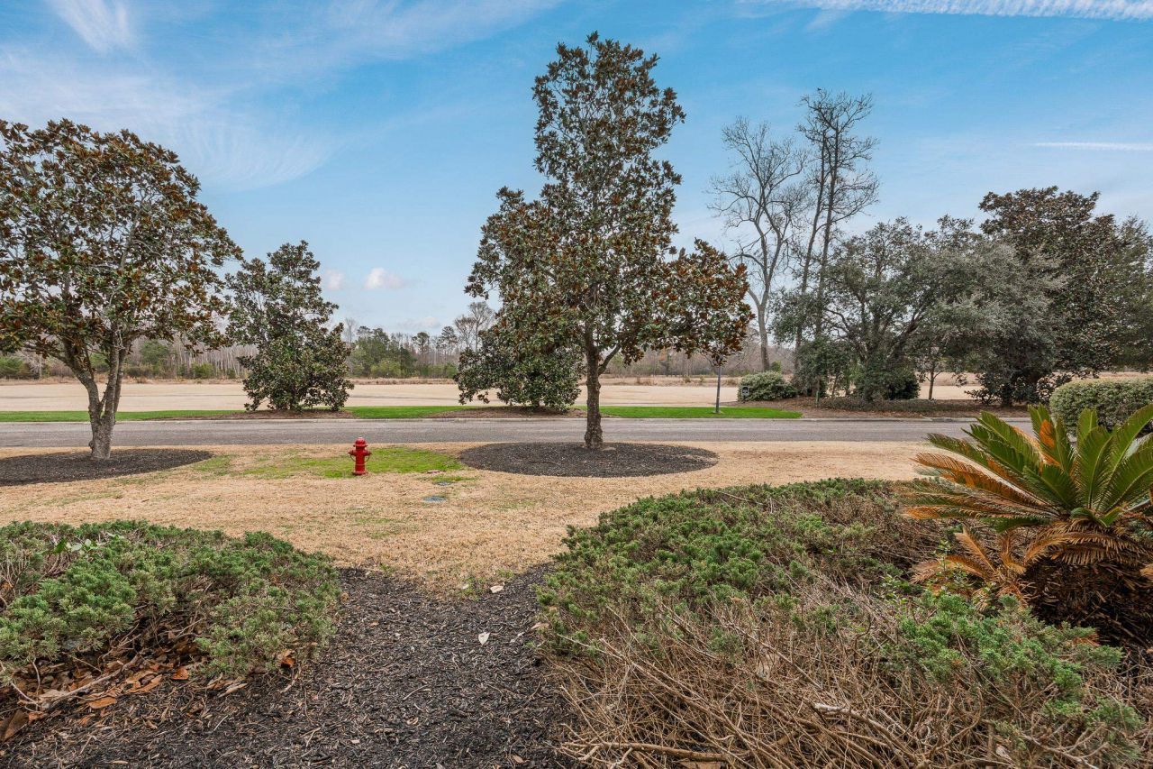 1033 World Tour Blvd. Photo 29