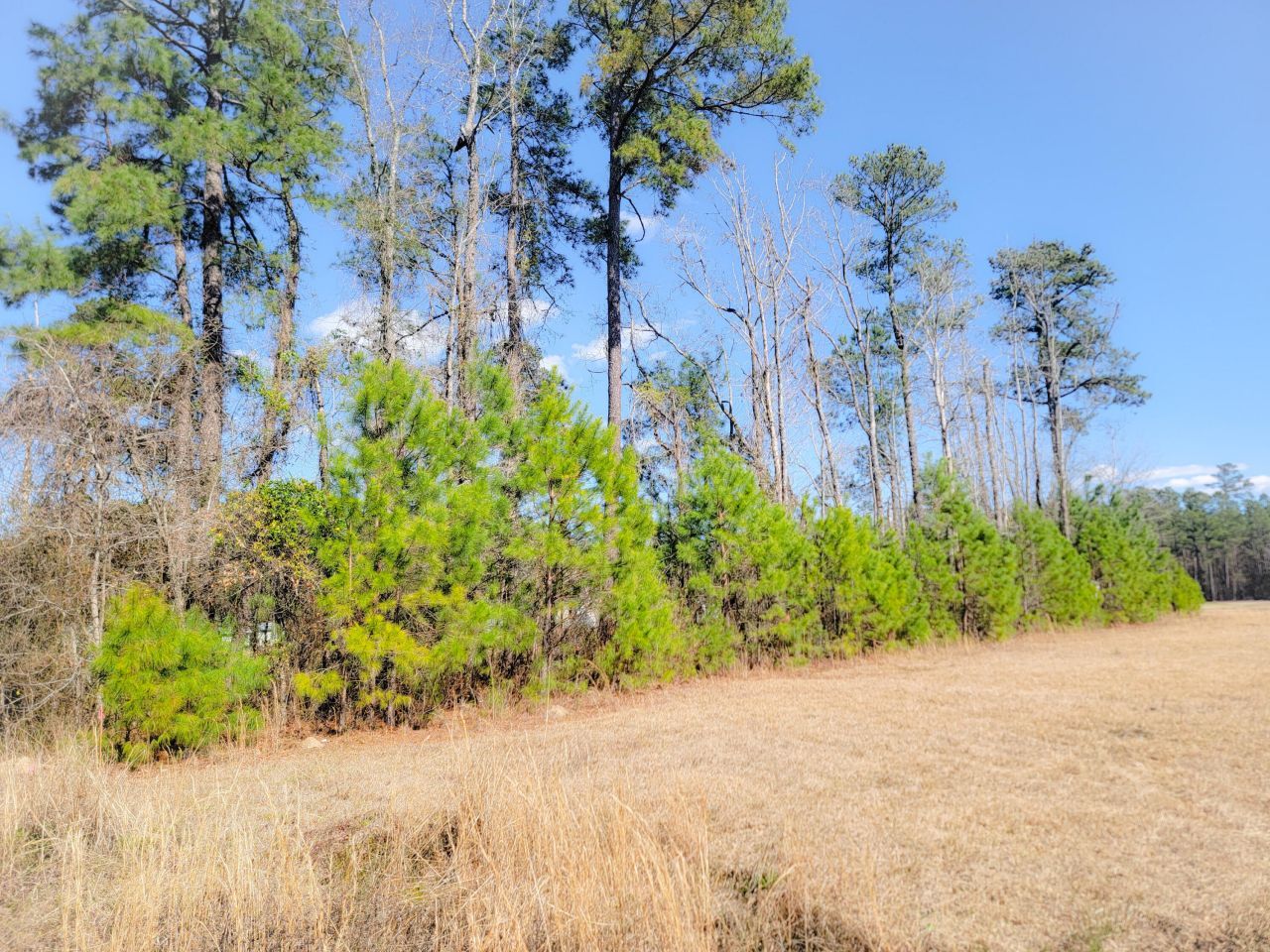 1374 Jedburg Road Photo 5