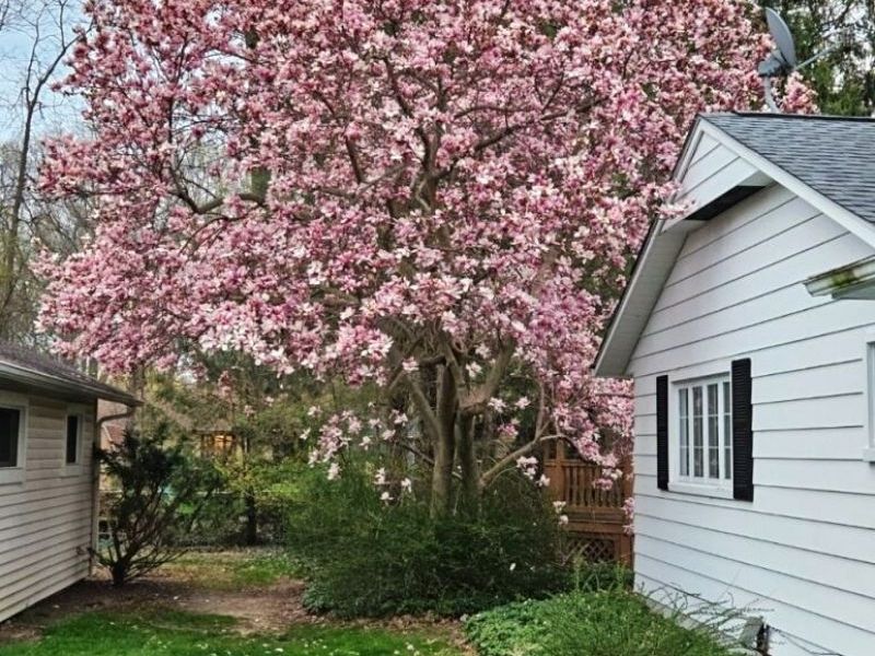 5743 Mills Creek Lane, North Ridgeville, OH 44039 Photo 42