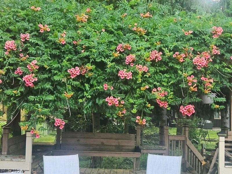 5743 Mills Creek Lane, North Ridgeville, OH 44039 Photo 43