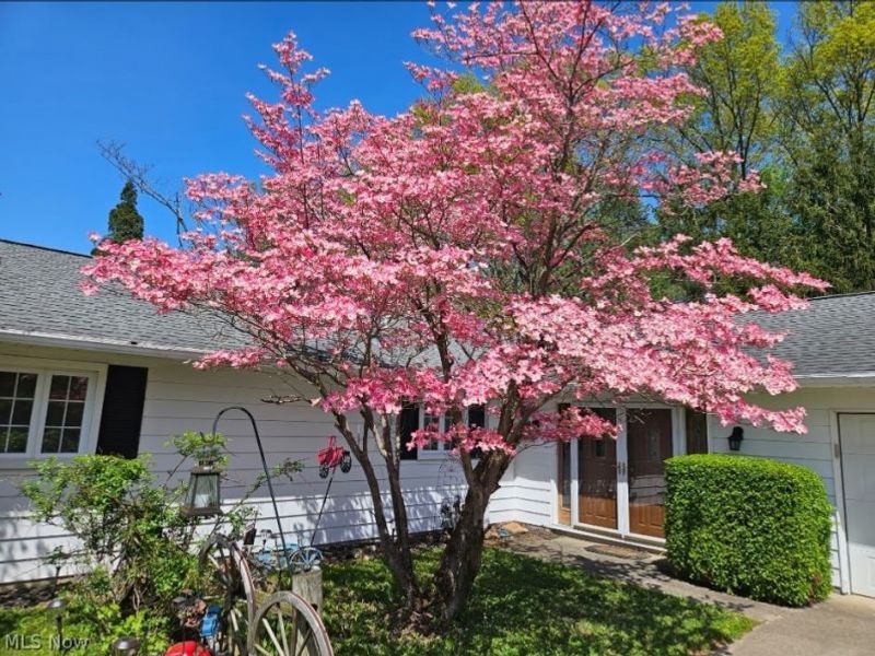 5743 Mills Creek Lane, North Ridgeville, OH 44039 Photo 44