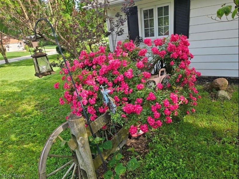 5743 Mills Creek Lane, North Ridgeville, OH 44039 Photo 45