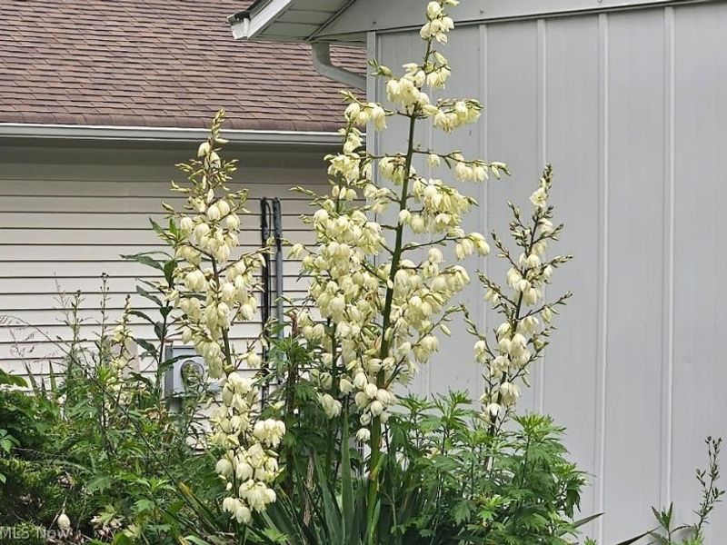 5743 Mills Creek Lane, North Ridgeville, OH 44039 Photo 47