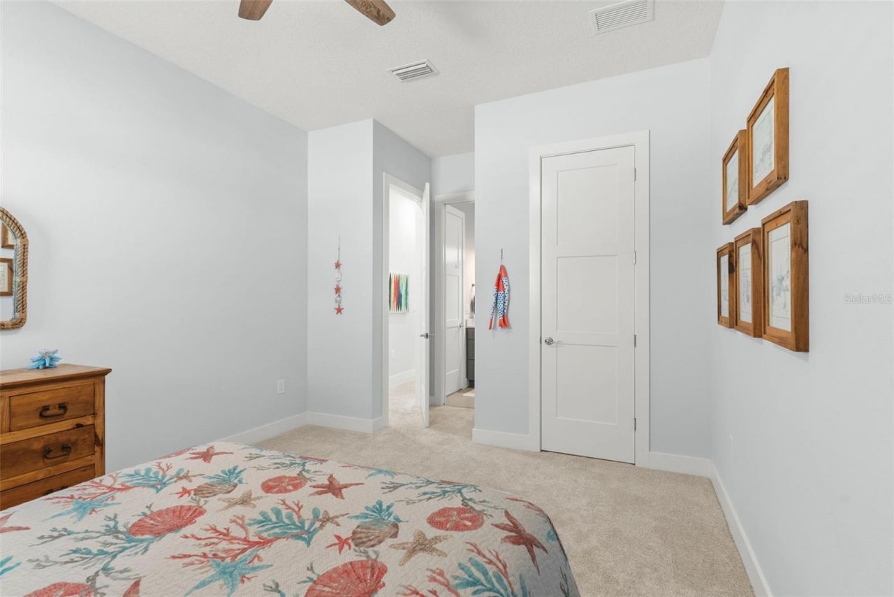 708 Pinckney Drive, Apollo Beach, FL 33572 Photo