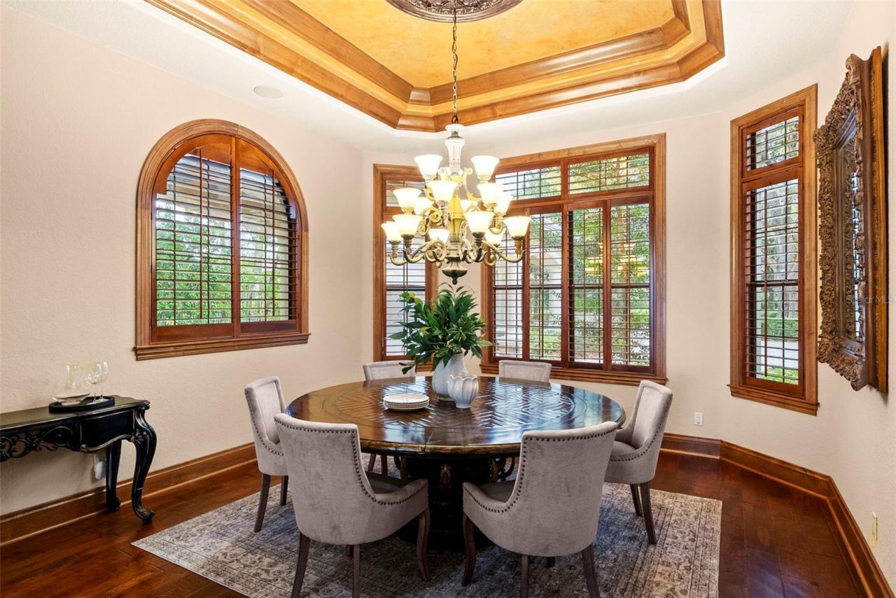 9902 Menander Wood Court, Odessa, FL 33556 Photo