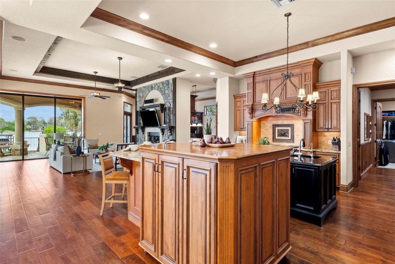 9902 Menander Wood Court, Odessa, FL 33556 Photo