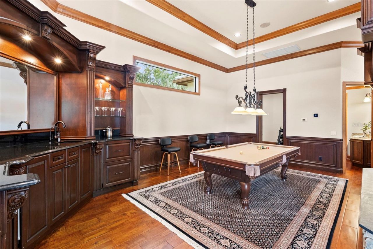 9902 Menander Wood Court, Odessa, FL 33556 Photo