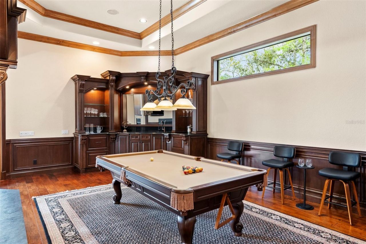 9902 Menander Wood Court, Odessa, FL 33556 Photo