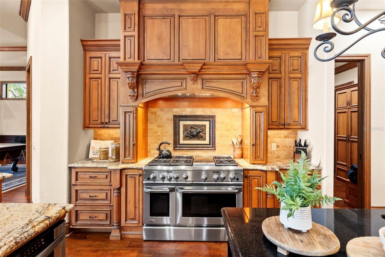 9902 Menander Wood Court, Odessa, FL 33556 Photo