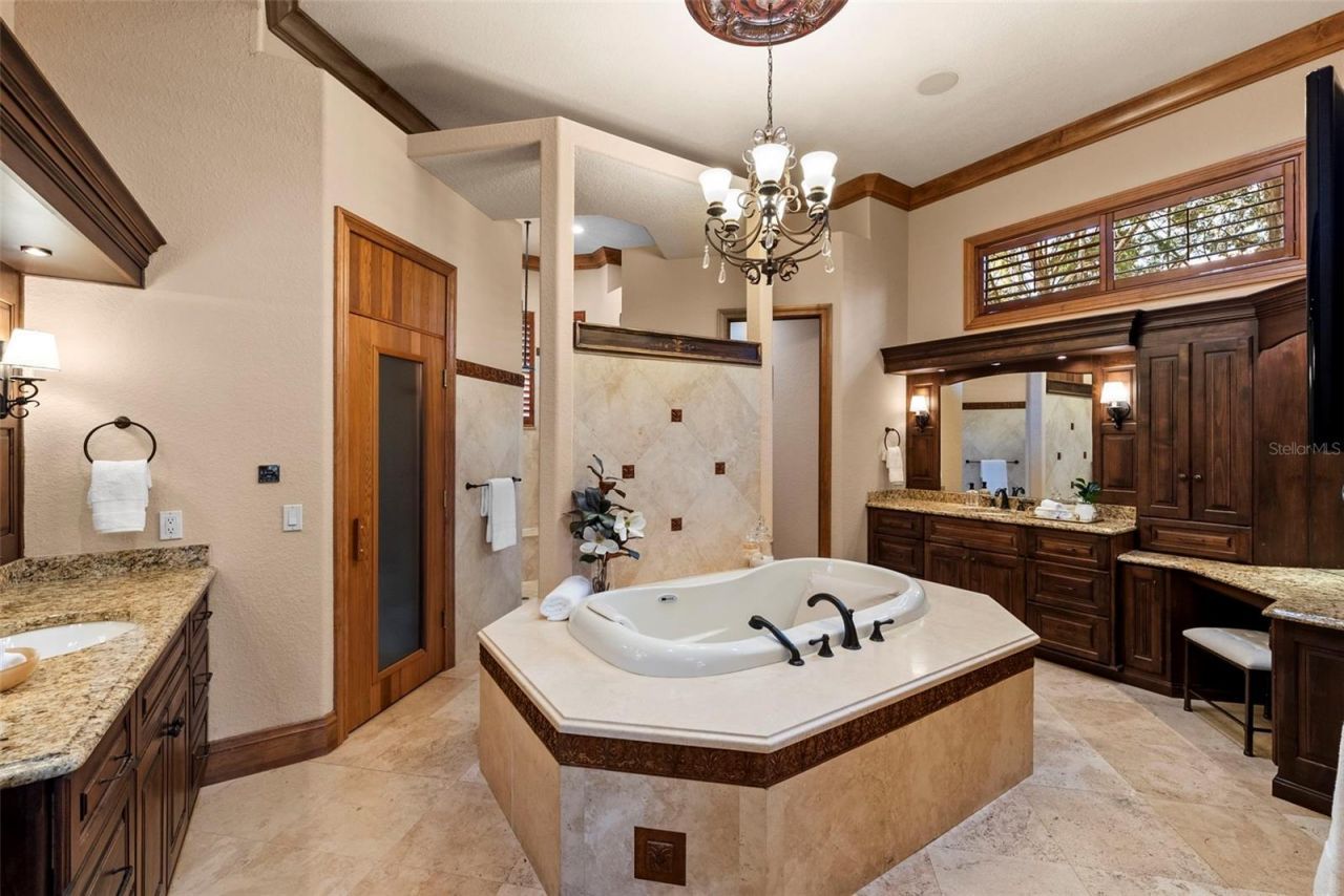 9902 Menander Wood Court, Odessa, FL 33556 Photo