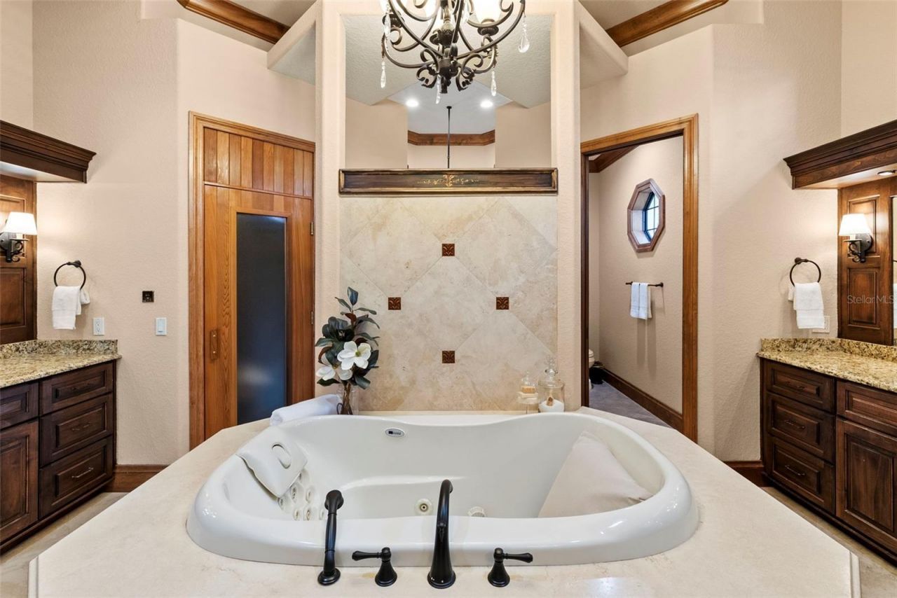 9902 Menander Wood Court, Odessa, FL 33556 Photo