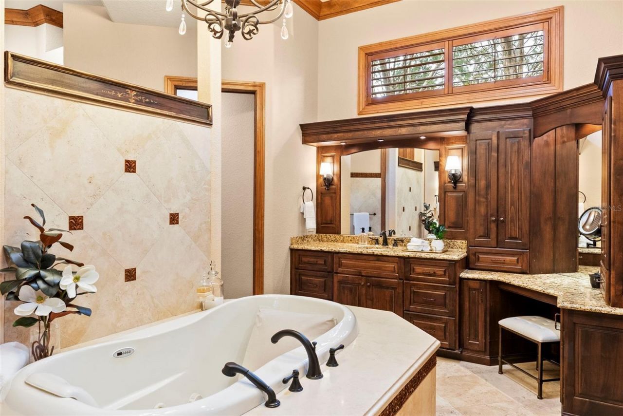 9902 Menander Wood Court, Odessa, FL 33556 Photo