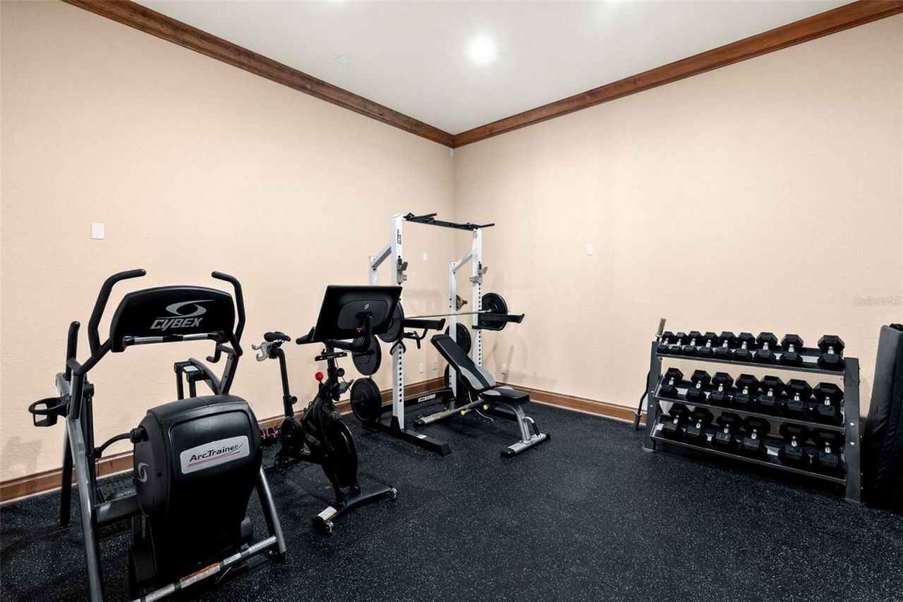 9902 Menander Wood Court, Odessa, FL 33556 Photo