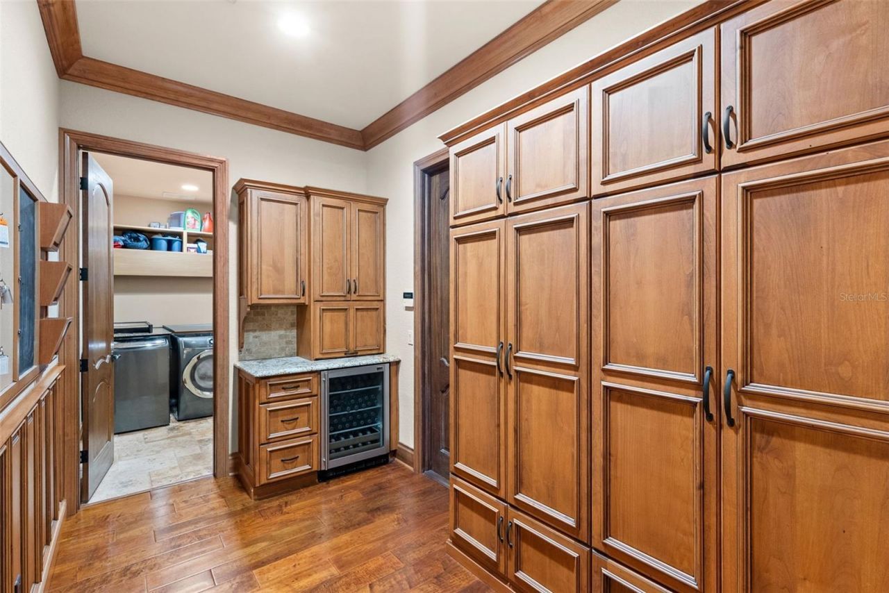 9902 Menander Wood Court, Odessa, FL 33556 Photo