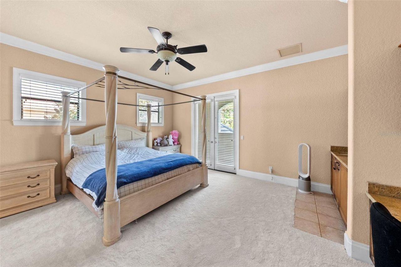 9902 Menander Wood Court, Odessa, FL 33556 Photo